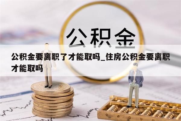 公积金要离职了才能取吗_住房公积金要离职才能取吗